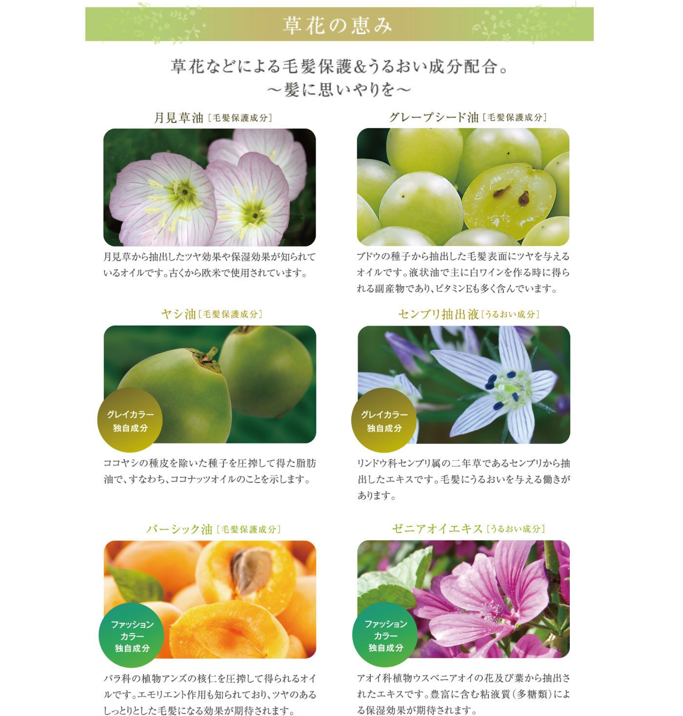 草花の恵み　草花などによる毛髪保護＆うるおい成分配合。～髪に思いやりを～