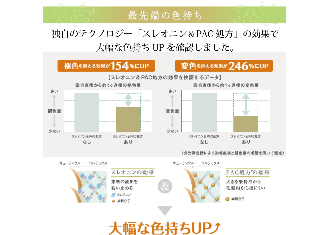 最先端の色持ち　独自のテクノロジー「スレオニン＆PAC処方」の効果で大幅な色持ちUPを確認しました。