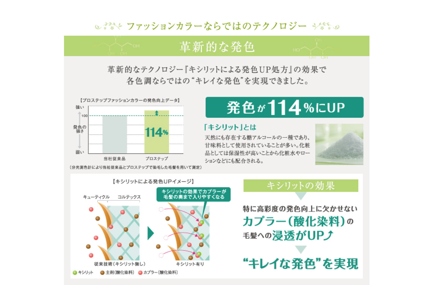 ファッションカラーならではのテクノロジー　革新的な発色　革新的なテクノロジー『キシリットによる発色UP処方』の効果で各色調ならではの”キレイな発色”を実現できました。